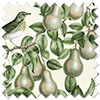 Pears, Coriscon - Roller Blind